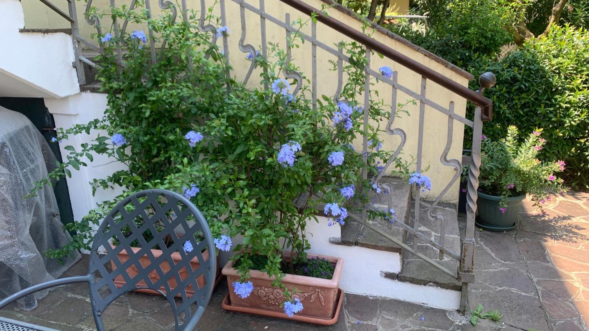 B&B Margherita Desenzano del Garda Quarto foto